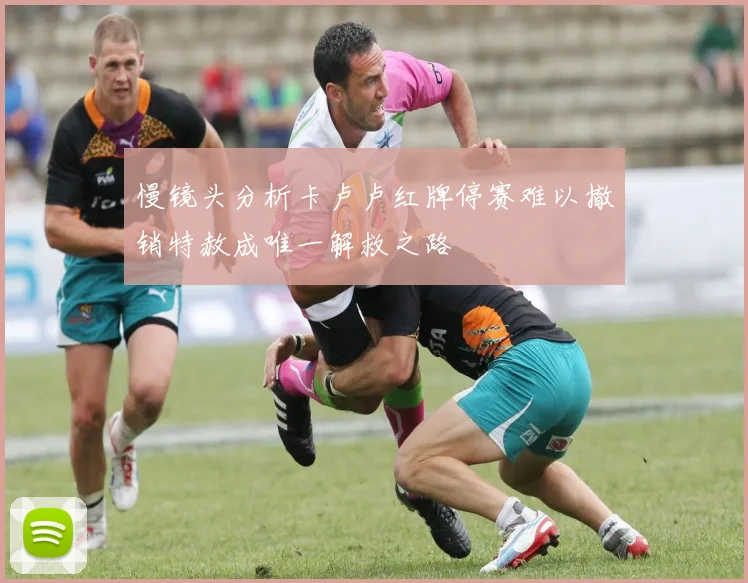 慢镜头分析卡卢卢红牌停赛难以撤销特赦成唯一解救之路